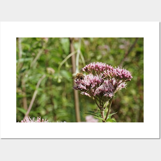 Bee On Water Hemp Flower Wall Art by Pirino